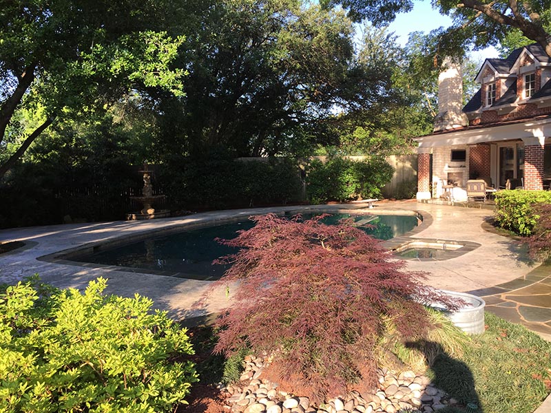 clean backyard and pool deck